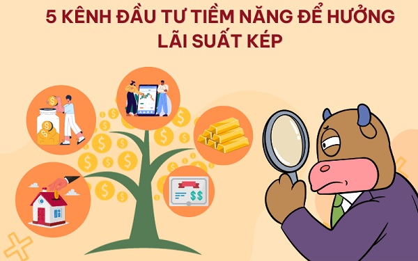 5 kênh đầu tư hàng đầu để hưởng lãi suất kép