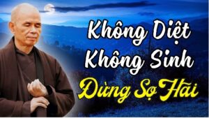 Khong Diet Khong Sinh Dung So Hai 