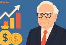 chien-luoc-dau-tu-dai-han-theo-phong-cach-warren-buffett-full