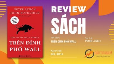 review-sach-tren-dinh-pho-wall-Peter-Lynch